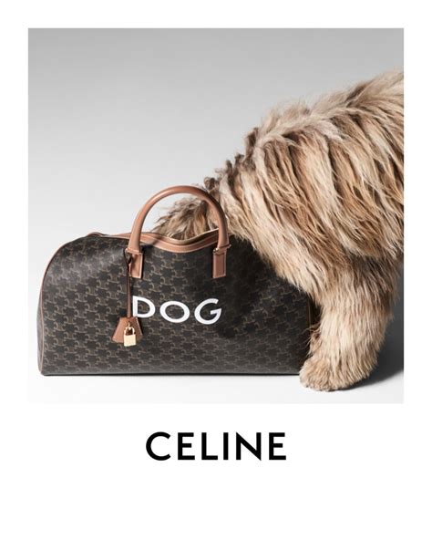 celine dog bag